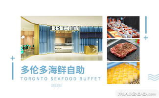 多伦多海鲜餐饮服务体验 品质与多样性的交融