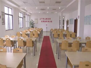 桐溪幼儿园获评A级餐饮服务单位，树立食品安全行业典型